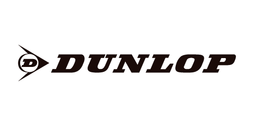 台灣登路普股份有限公司 Logo