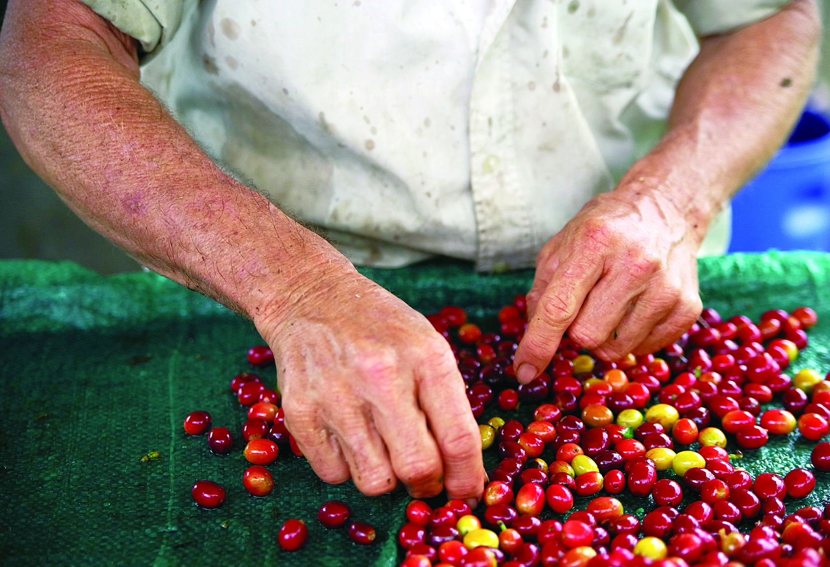 shutterstock_1469224163