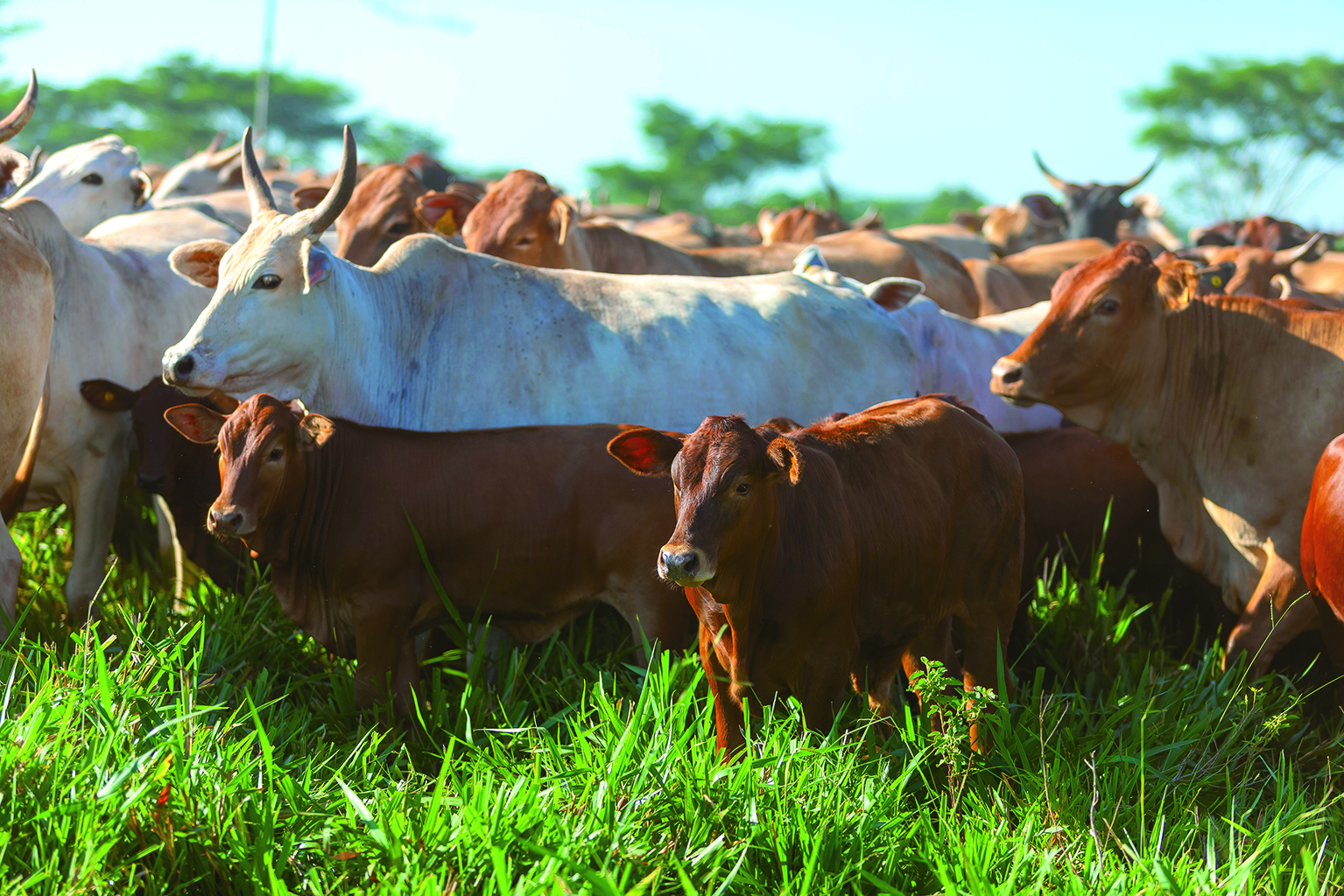 貿協2020%20Taiwan%20Optical%20_%20Eyewear_場景生動符合產品