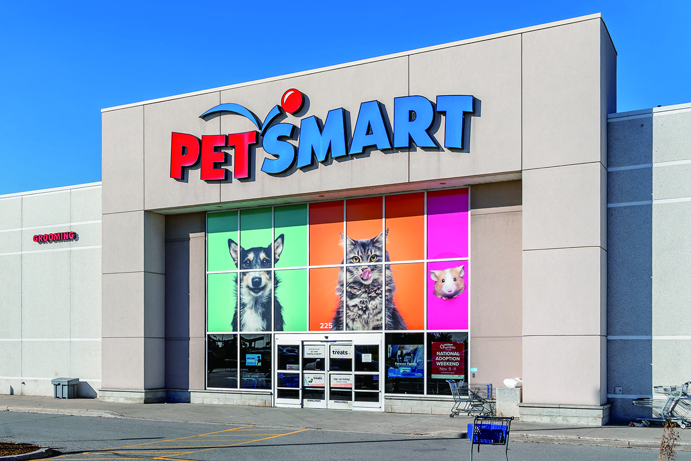 shutterstock_1217536033