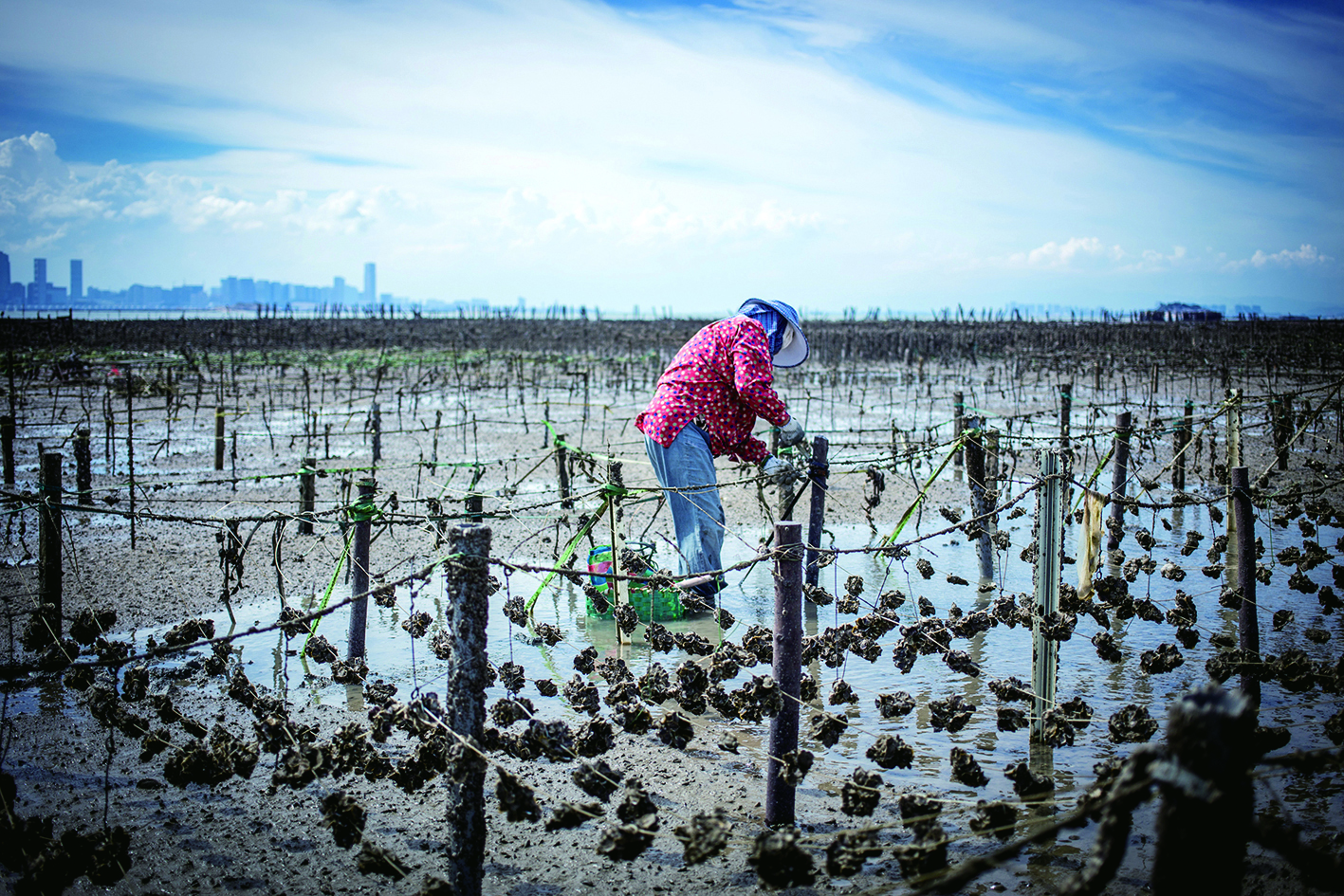 shutterstock_460197502