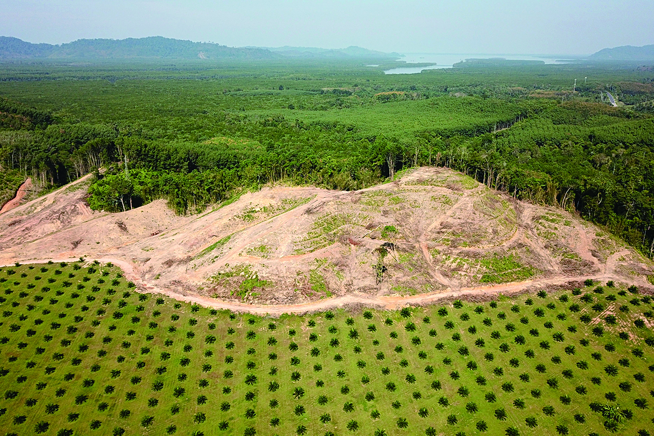 Newegg全球CEO鄒果慶主講趨勢論壇