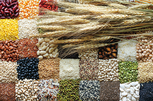 shutterstock_597052055 1