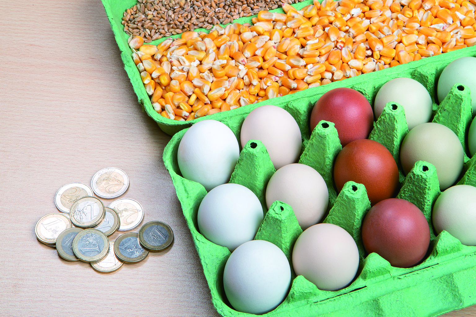 shutterstock_2136749281