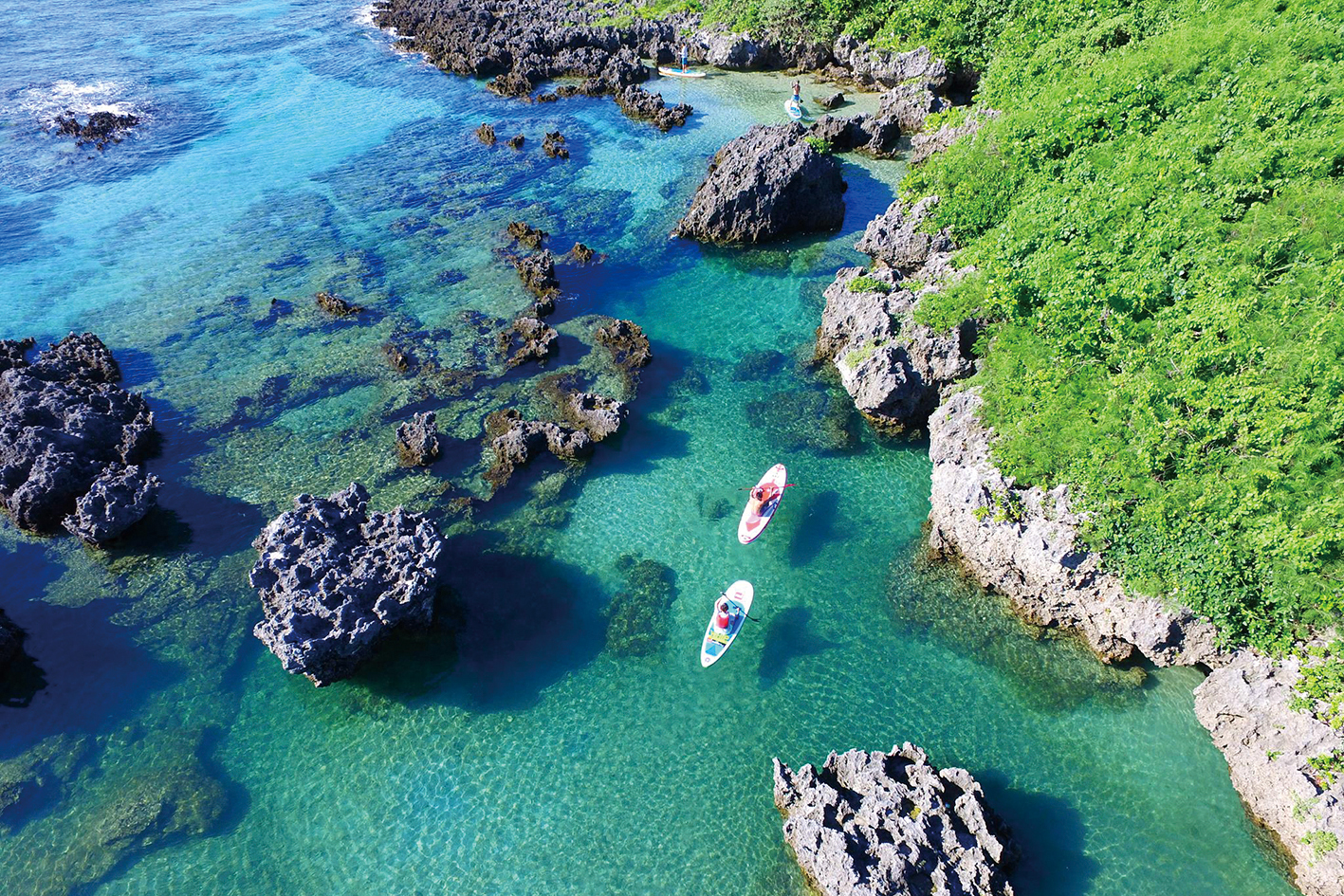 114709498_2624108447842032_8148008108283515343_n