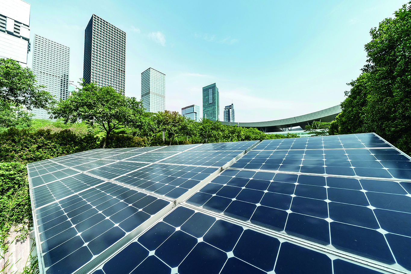 shutterstock_1135814588