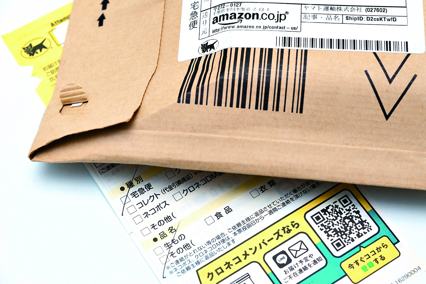 shutterstock_1854323365