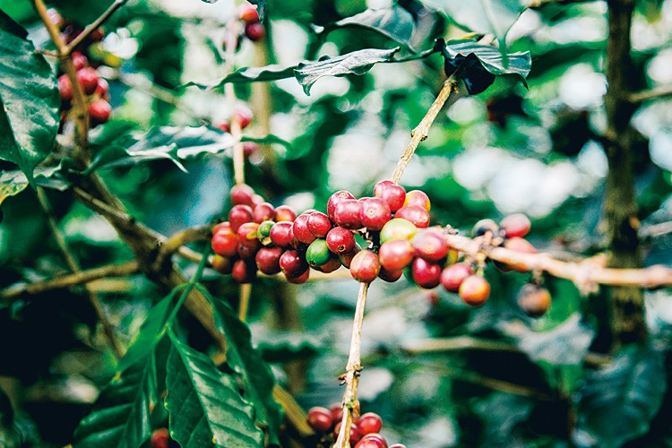 供應鏈透視鏡  氣候變化、物流調整與金融波動交織